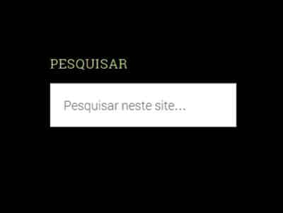 configurar-pesquisa-interna-site-adwords-thumb_400x301