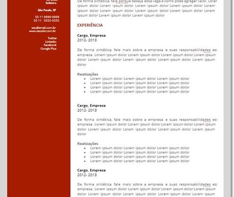 modelo-curriculo-avancado-executivo-seo-martin-2-475x600