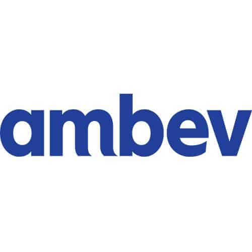 Ambev by seo martin