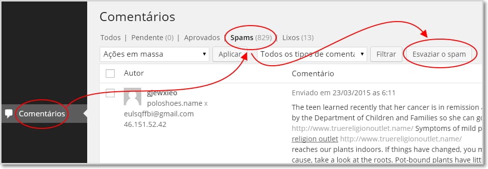 esvaziar-spam-manualmente-wordpress-230315