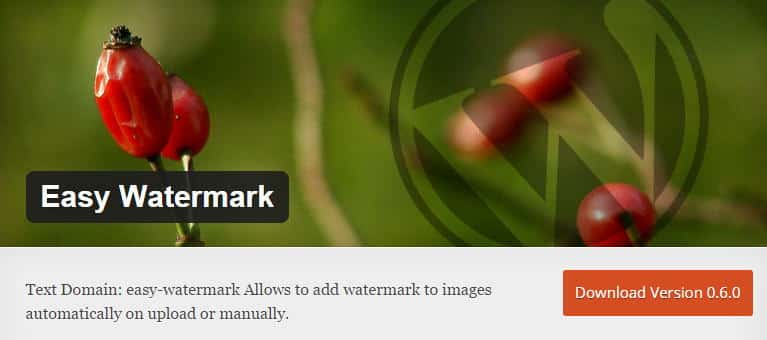 Easy Watermark Plugin